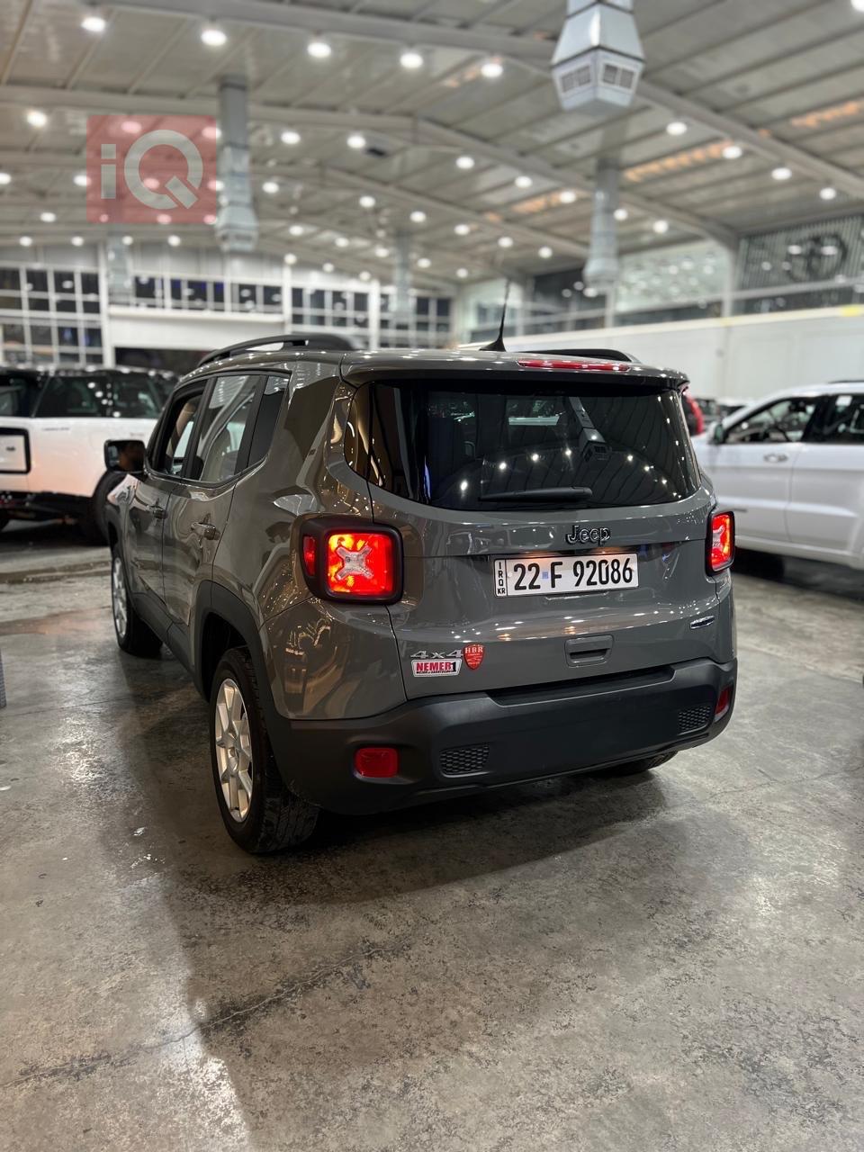 جيب رينيجيد